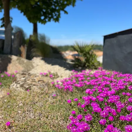 Les Iris - Maison Chaleureuse * Montfaucon-Montigne