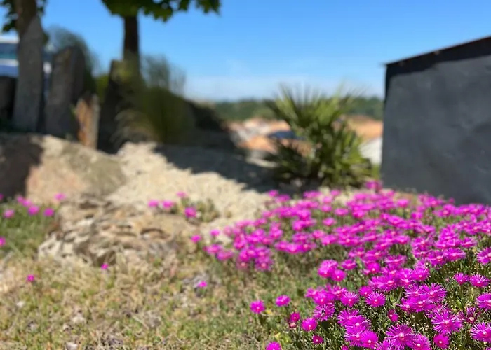 Les Iris - Maison Chaleureuse * Montfaucon-Montigne